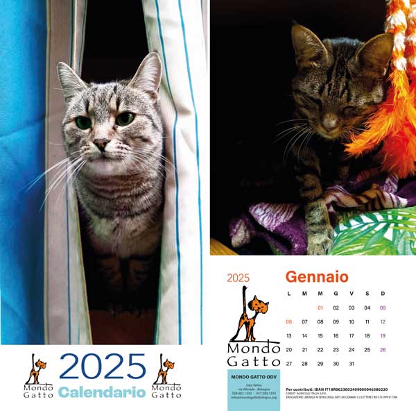 2025 calendario mondogatto